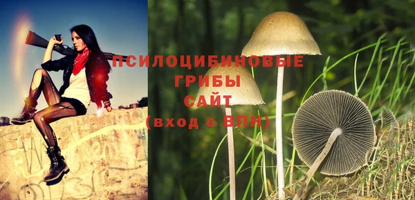 соль ск Балабаново