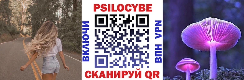 omg рабочий сайт  Соль-Илецк  Галлюциногенные грибы Cubensis 